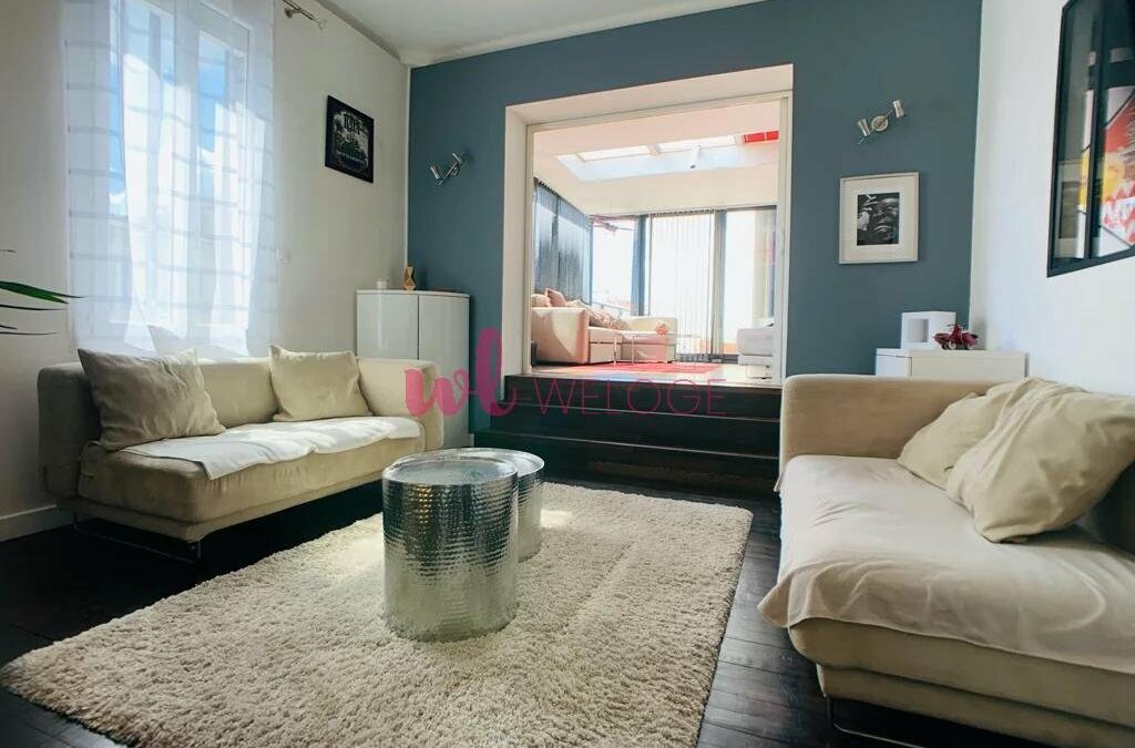 Loft Saint genes