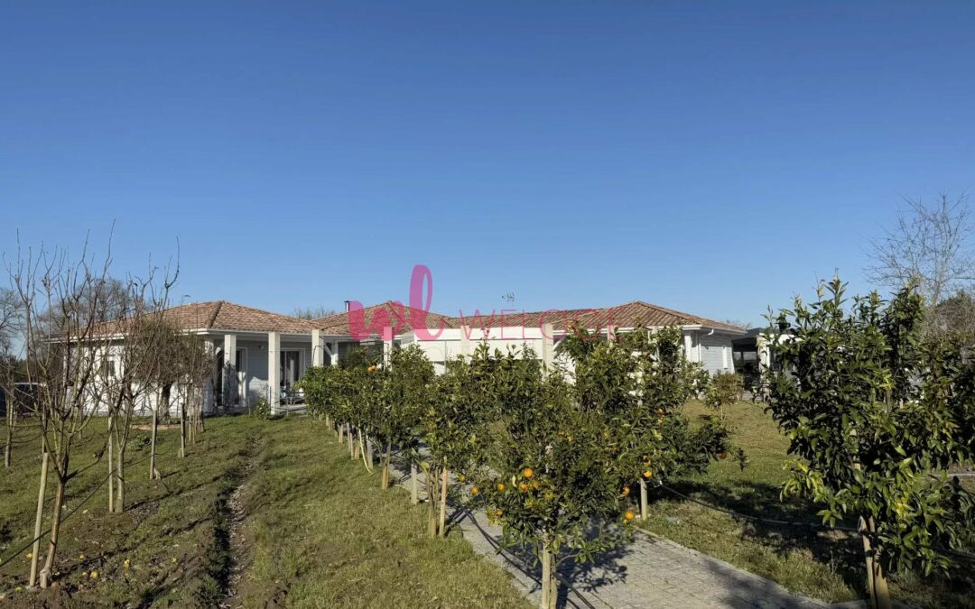 Maison contemporaine de 185 m² sur un terrain de 3 000 m² à Heugas – Un cadre de vie idyllique