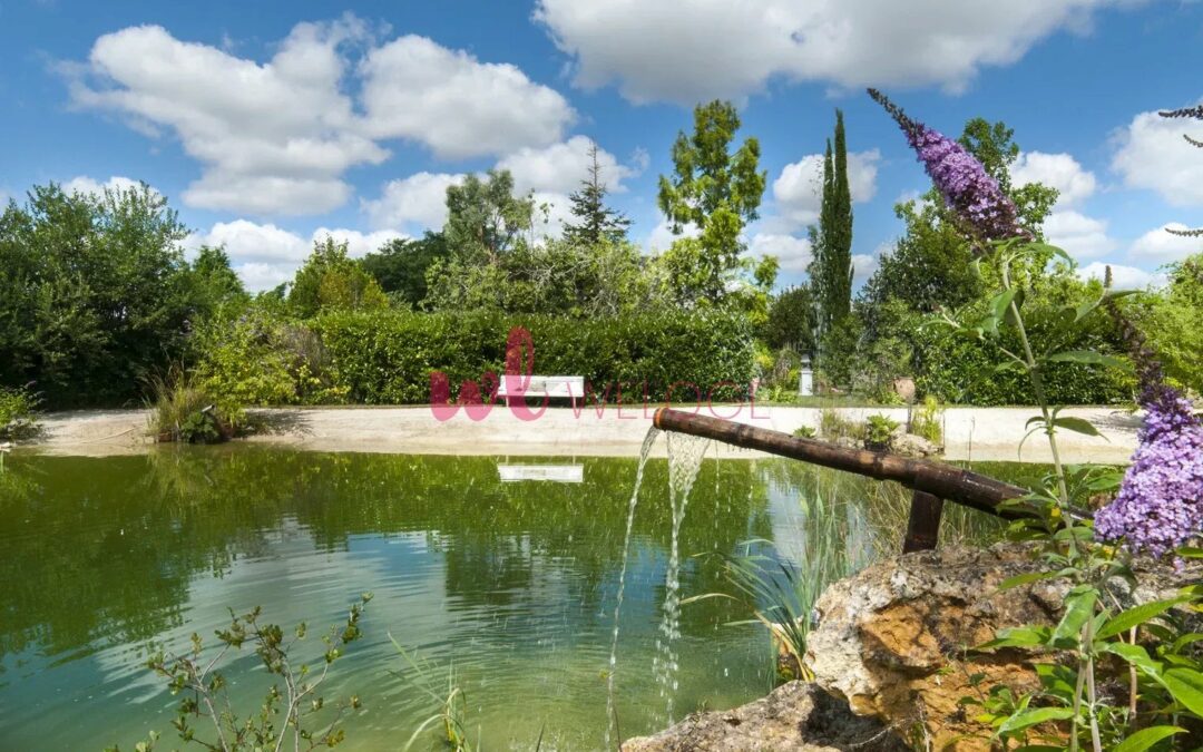 Superbe propriété +600m², 17 pièces, étang, parc