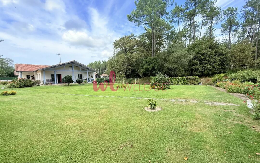 A vendre – Charmante maison familiale 175m2 au calme absolu à Léon dans les Landes