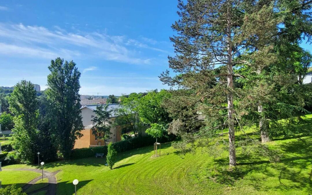 GRAND T3 LUMINEUX CENTRE OULLINS