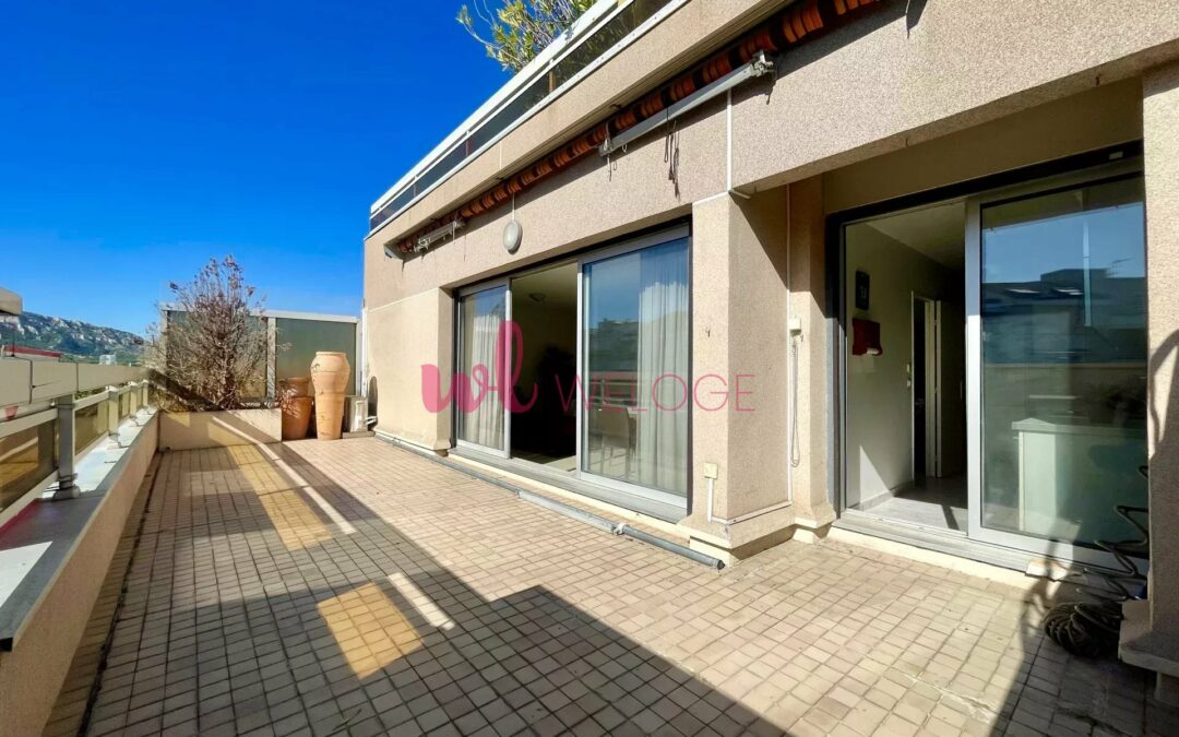 BEL APPARTEMENT TYPE 3 TERRASSE PLEIN CIEL, BOX ET CAVE