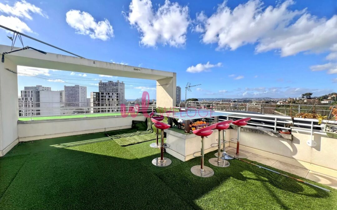 Magnifique T5 en toit terrasse vue mer