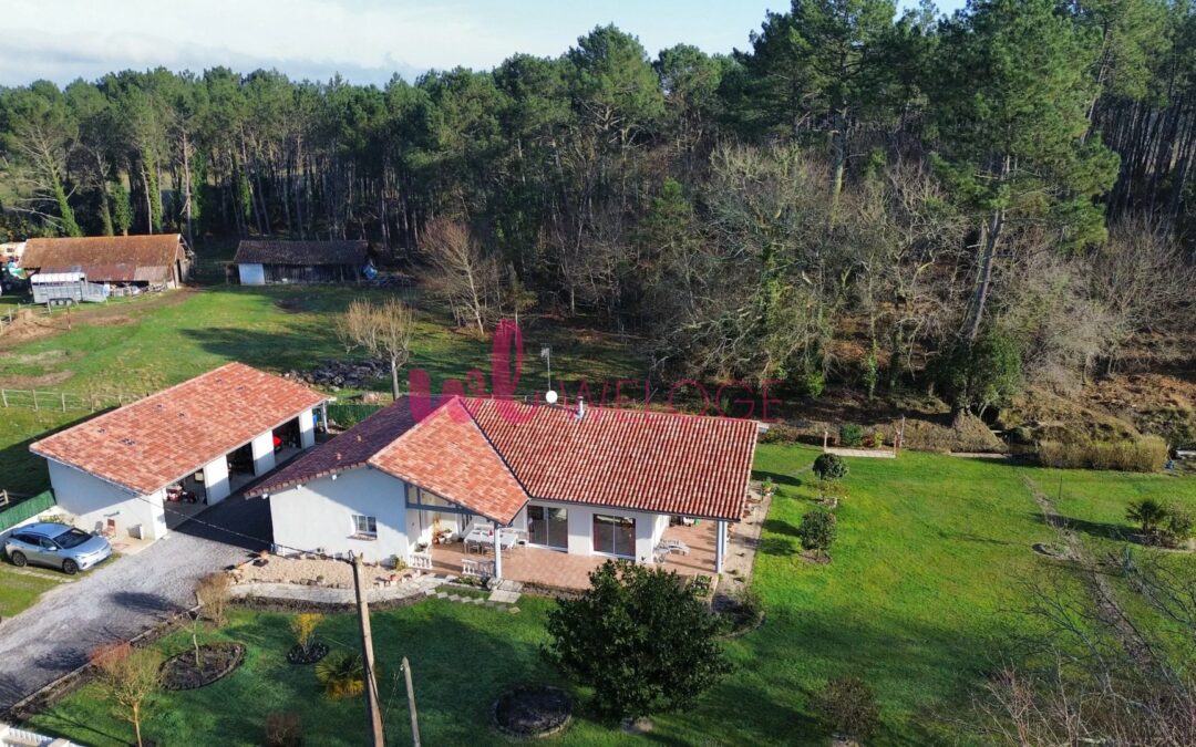 A vendre – Charmante maison familiale 175m2 au calme absolu à Léon dans les Landes