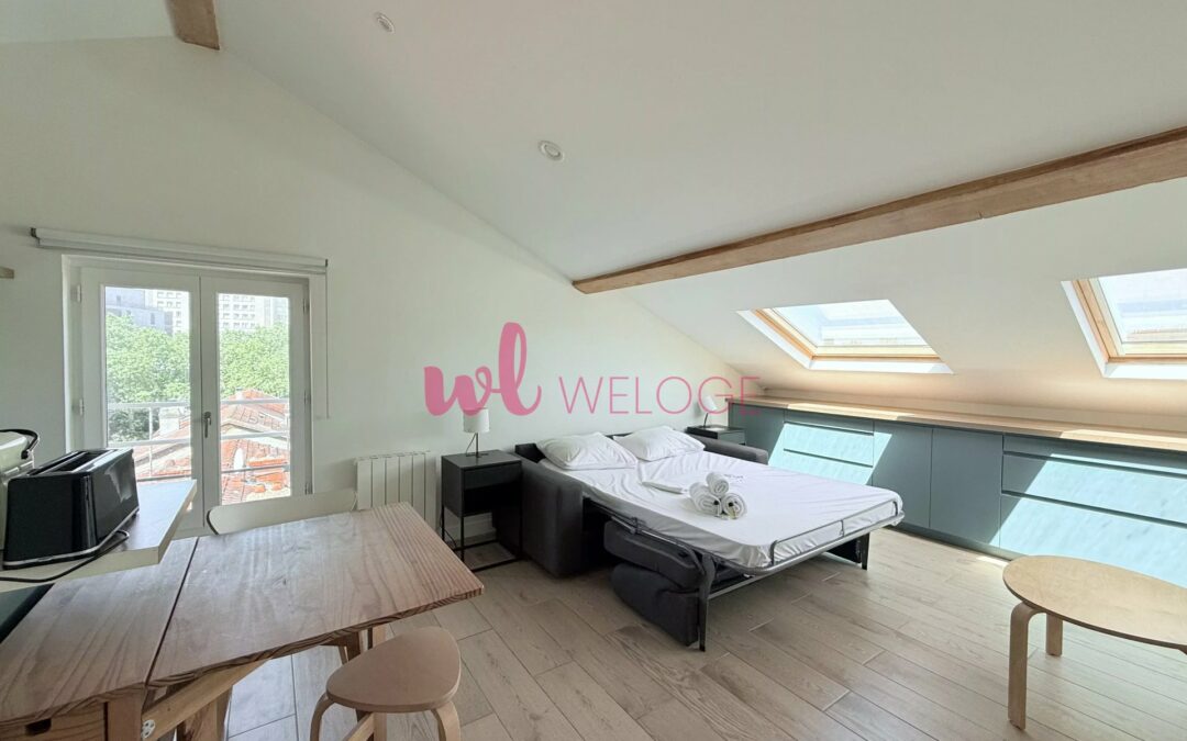 Charmant studio rénové Lyon 8eme  – Vendu MEUBLE