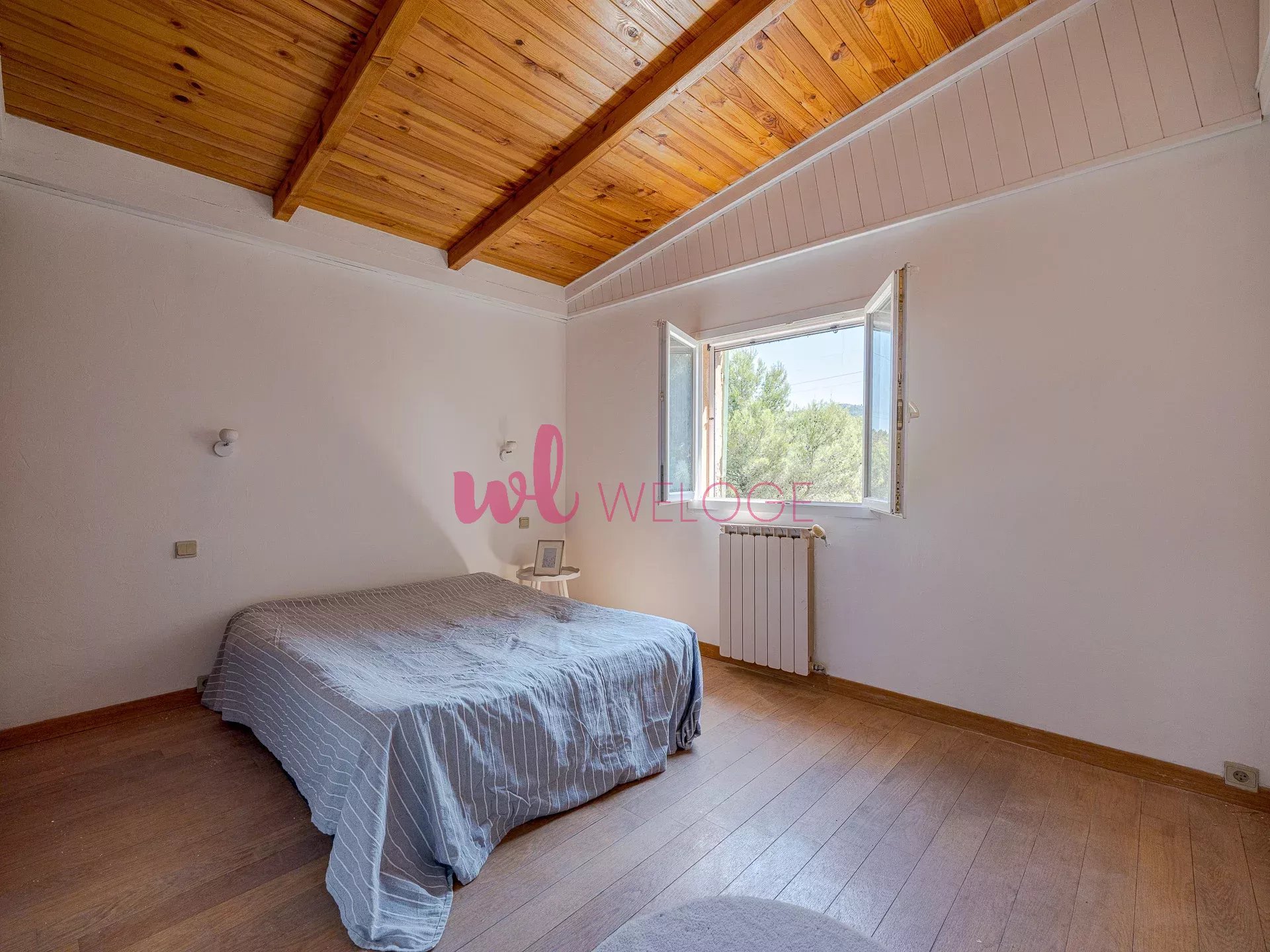 a5ea52fb89ec2a391f13ea3a7801e232_2e5d425874_1920-big.jpg